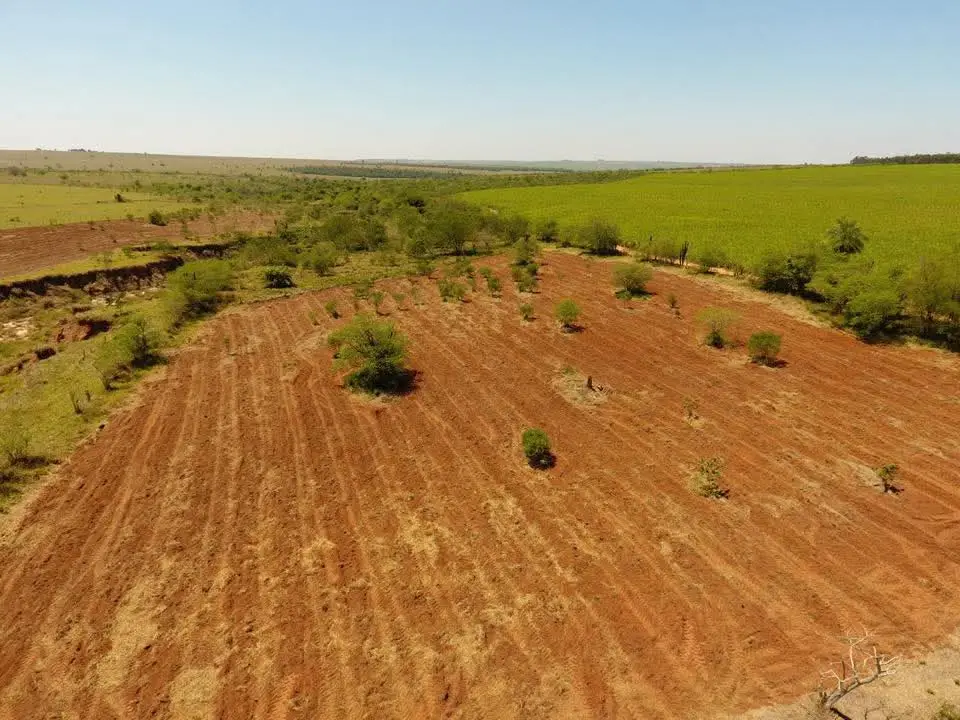 Propriedade com vegetação nativa preservada — foto 17